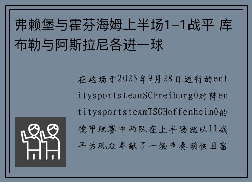 弗赖堡与霍芬海姆上半场1-1战平 库布勒与阿斯拉尼各进一球